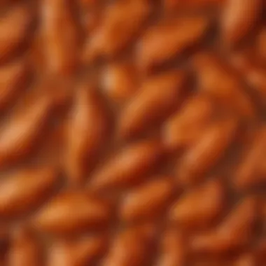 A close-up view of the texture and color of sweet and spicy wing sauce