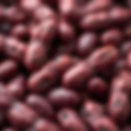 Close-up of cranberry beans showcasing their unique mottled pattern