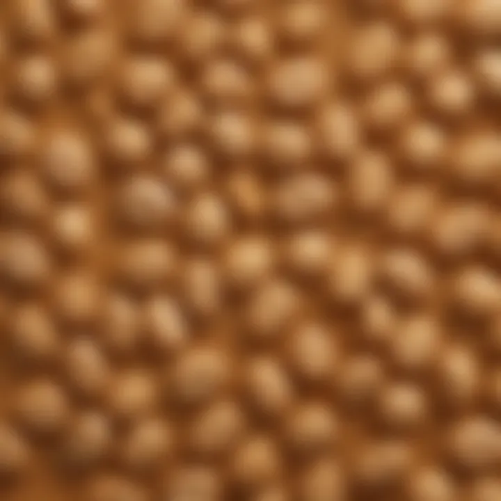 Macro and micronutrients in peanut butter