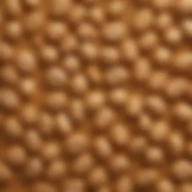 Macro and Micronutrients in Peanut Butter Macro and micronutrients in peanut butter