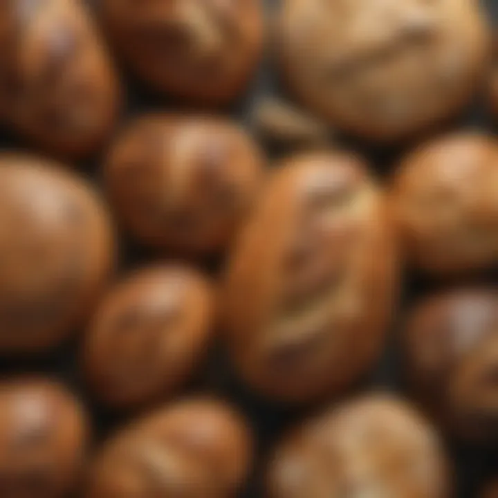 An array of diverse yeast bread types from various cultures